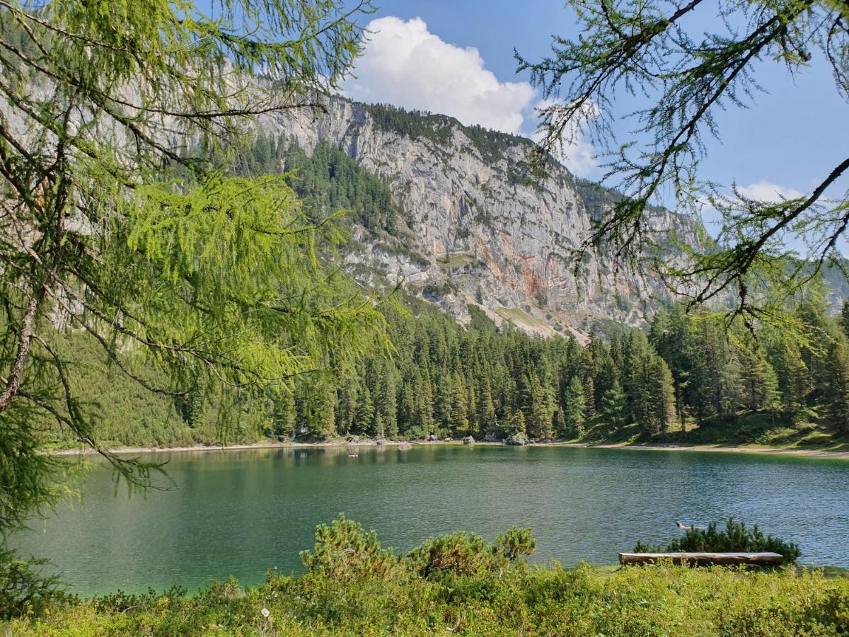 Gästezimmer BERGTRÄUME Haus im Ennstal Exteriör bild
